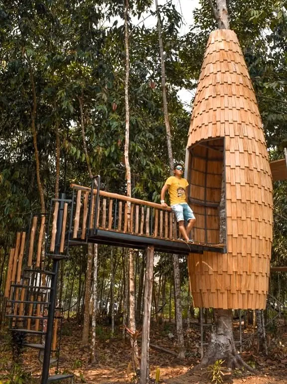 Visitante en una estructura elevada de madera entre los árboles de El Nativo